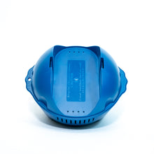 Load image into Gallery viewer, FROG @ease Sanitizing System for Swim Spas