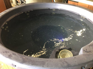 Used 2011 Caldera Lina Spa filled, without jets running